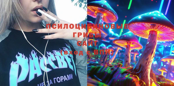 ПСИЛОЦИБИНОВЫЕ ГРИБЫ Белоозёрский