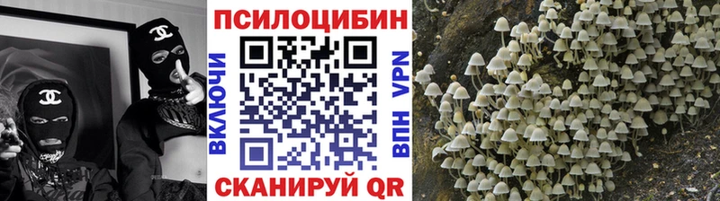 Псилоцибиновые грибы Cubensis  дарнет шоп  Высоковск 